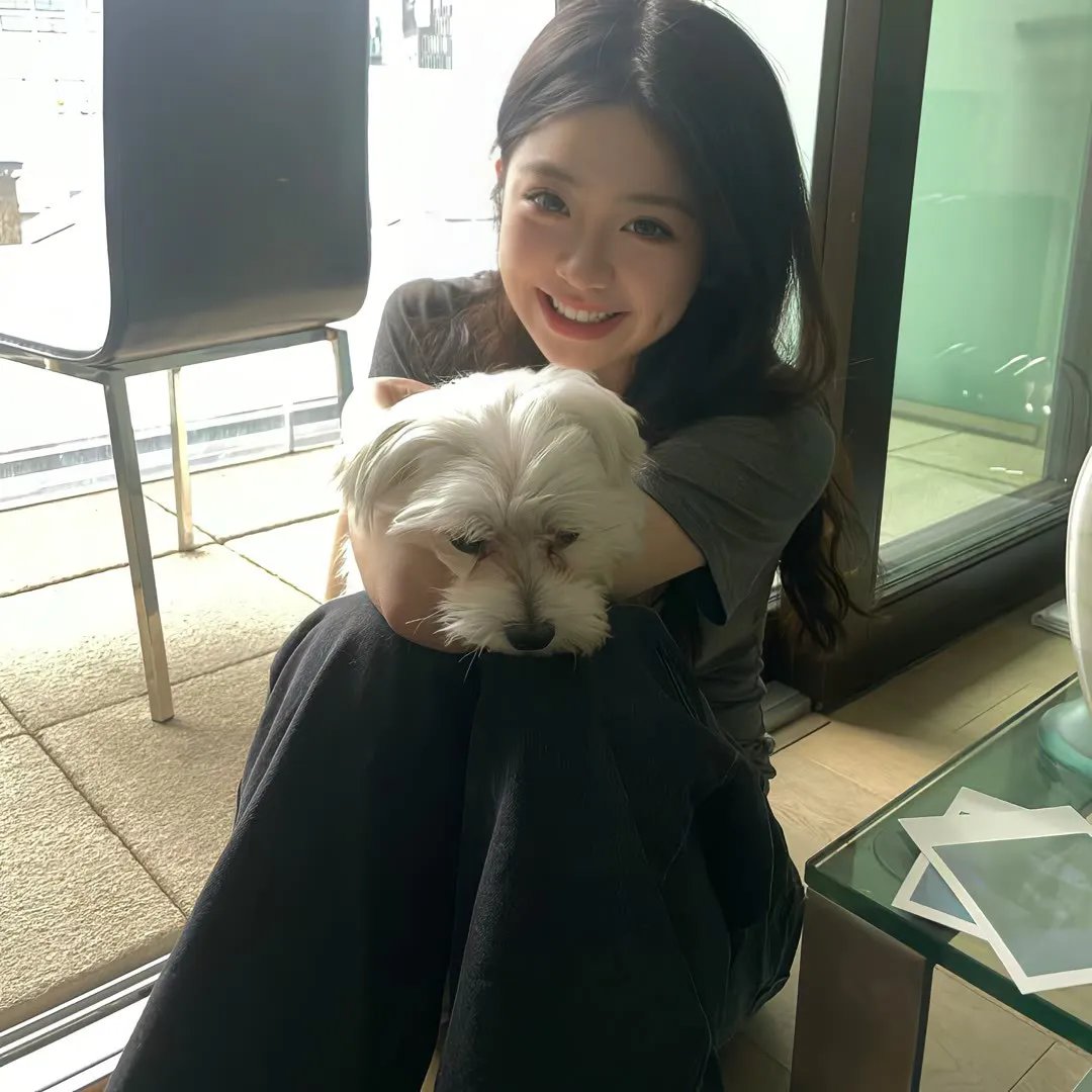 失败之翼